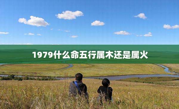 1979什么命五行属木还是属火