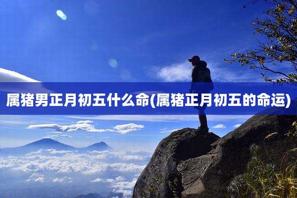 属猪男正月初五什么命(属猪正月初五的命运)