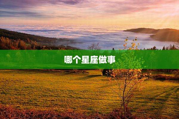 哪个星座做事
