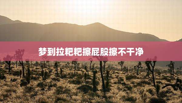 梦到拉粑粑擦屁股擦不干净