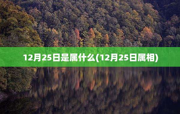 12月25日是属什么(12月25日属相)