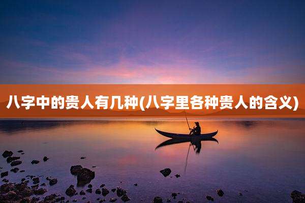 八字中的贵人有几种(八字里各种贵人的含义)