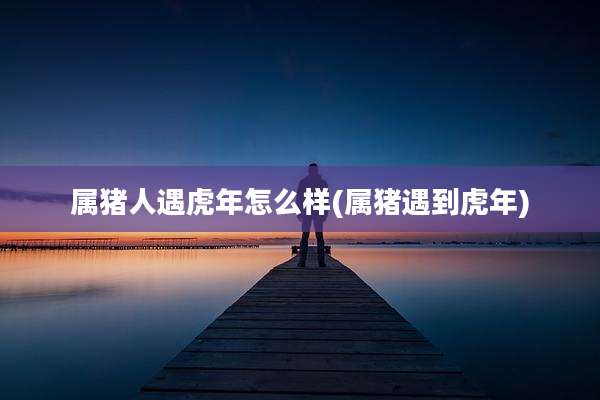 属猪人遇虎年怎么样(属猪遇到虎年)