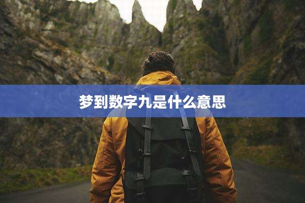 梦到数字九是什么意思