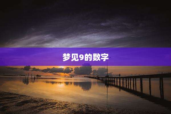 梦见9的数字
