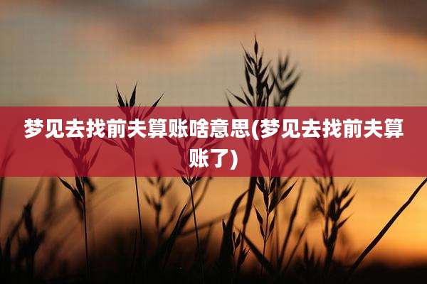 梦见去找前夫算账啥意思(梦见去找前夫算账了)
