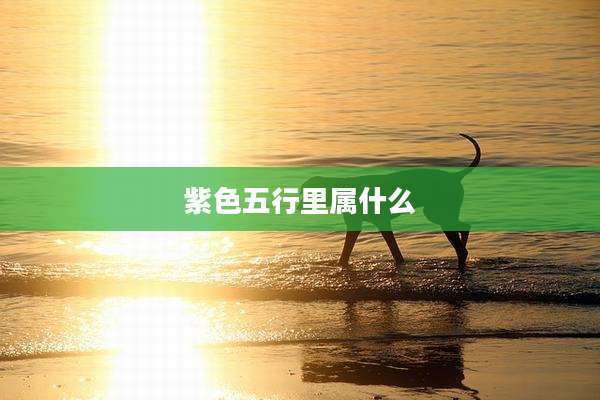 紫色五行里属什么