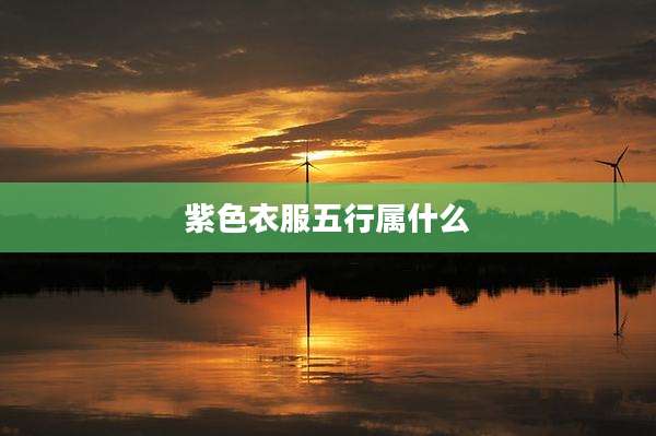 紫色衣服五行属什么