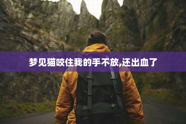 梦见猫咬住我的手不放,还出血了
