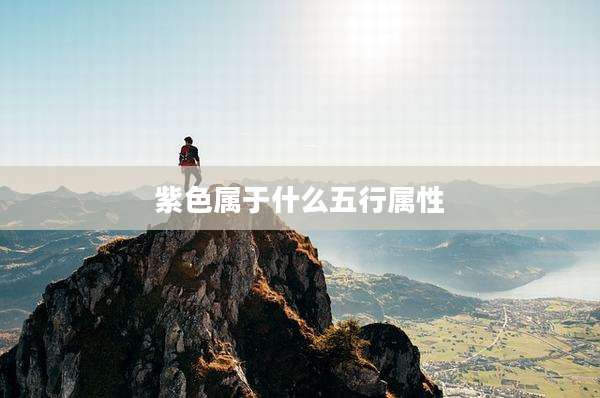 紫色属于什么五行属性