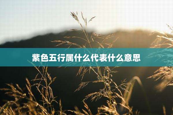 紫色五行属什么代表什么意思