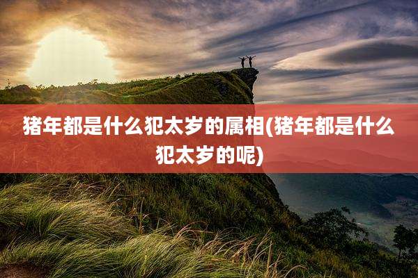 猪年都是什么犯太岁的属相(猪年都是什么犯太岁的呢)