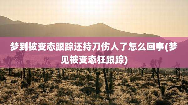 梦到被变态跟踪还持刀伤人了怎么回事(梦见被变态狂跟踪)