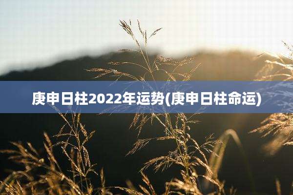 庚申日柱2022年运势(庚申日柱命运)