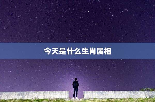 今天是什么生肖属相