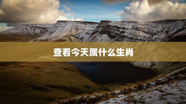 查看今天属什么生肖