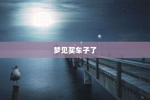 梦见买车子了