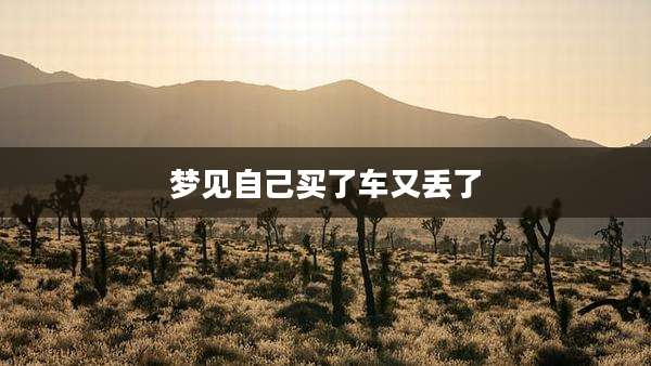 梦见自己买了车又丢了