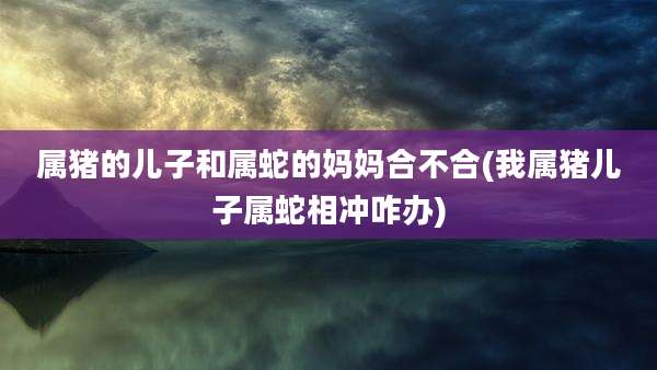 属猪的儿子和属蛇的妈妈合不合(我属猪儿子属蛇相冲咋办)