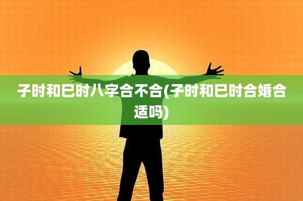 子时和巳时八字合不合(子时和巳时合婚合适吗)