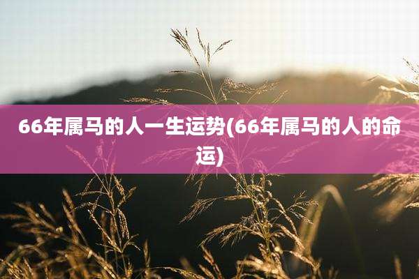 66年属马的人一生运势(66年属马的人的命运)