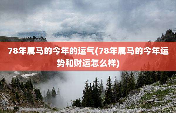 78年属马的今年的运气(78年属马的今年运势和财运怎么样)