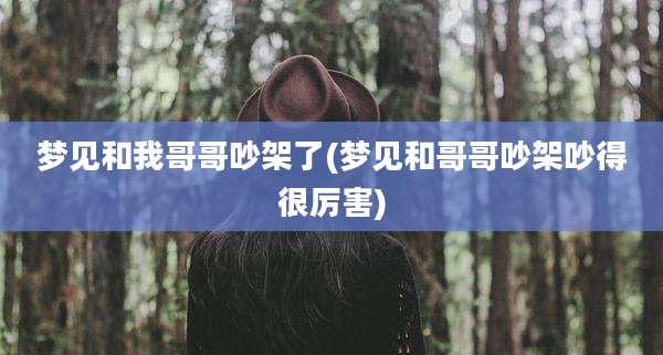 梦见和我哥哥吵架了(梦见和哥哥吵架吵得很厉害)
