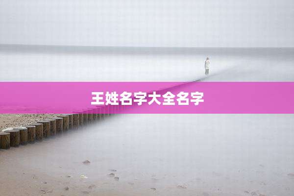 王姓名字大全名字