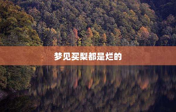 梦见买梨都是烂的