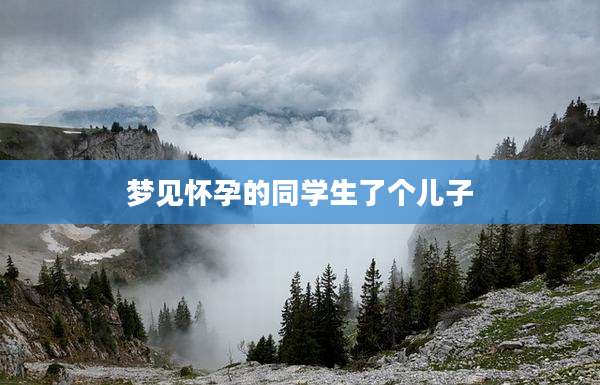 梦见怀孕的同学生了个儿子