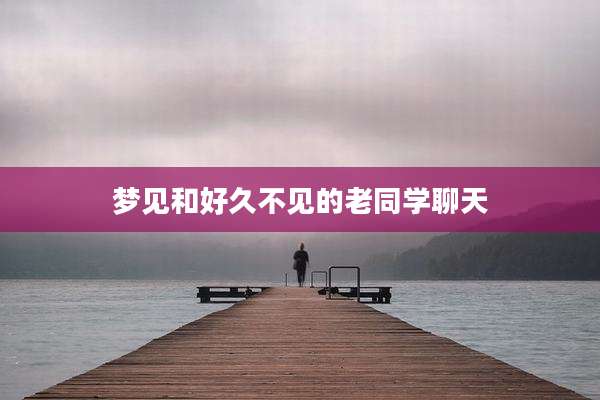 梦见和好久不见的老同学聊天