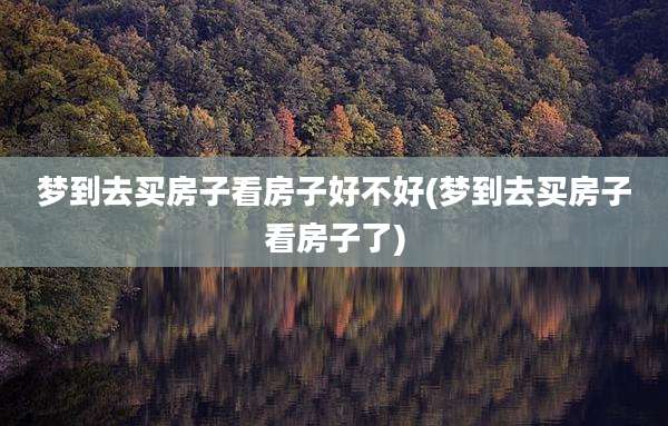 梦到去买房子看房子好不好(梦到去买房子看房子了)