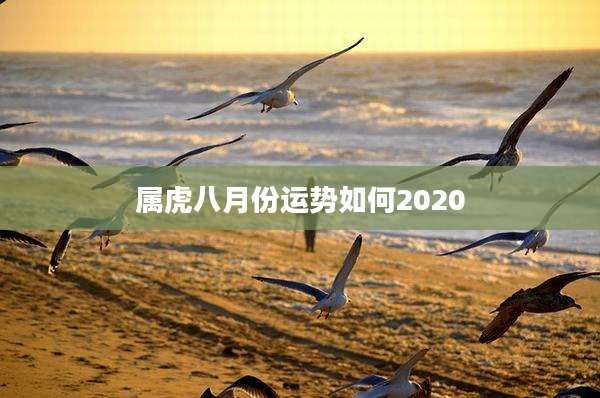属虎八月份运势如何2020