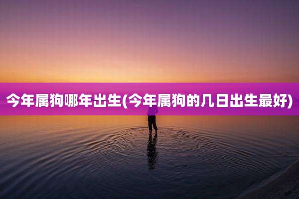 今年属狗哪年出生(今年属狗的几日出生最好)