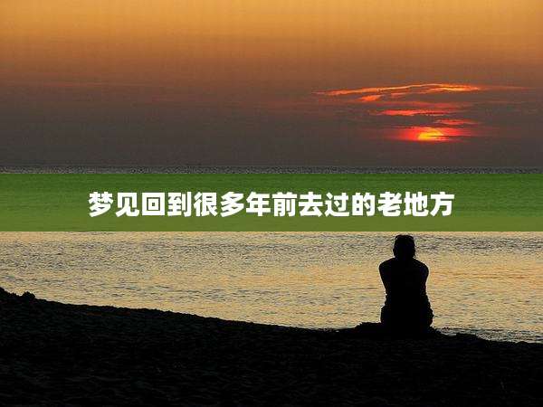 梦见回到很多年前去过的老地方