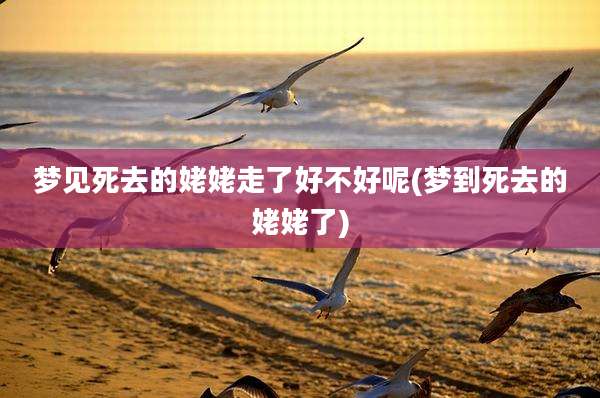 梦见死去的姥姥走了好不好呢(梦到死去的姥姥了)