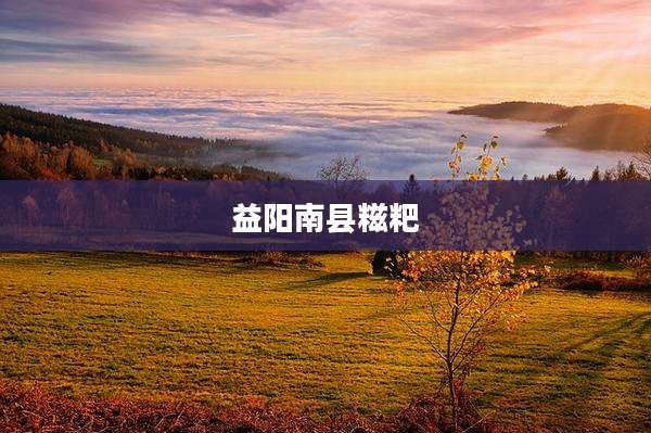 益阳南县糍粑