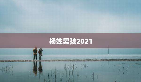 杨姓男孩2021