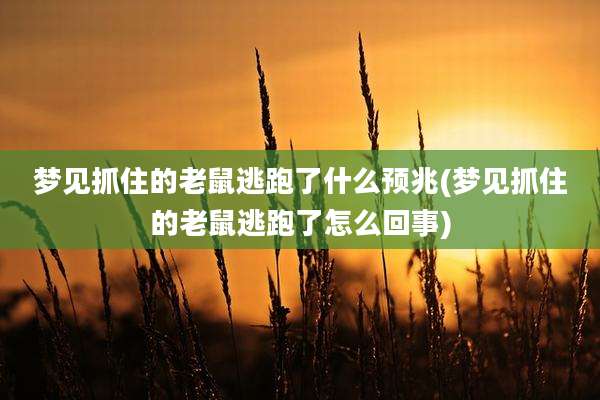 梦见抓住的老鼠逃跑了什么预兆(梦见抓住的老鼠逃跑了怎么回事)