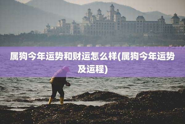 属狗今年运势和财运怎么样(属狗今年运势及运程)