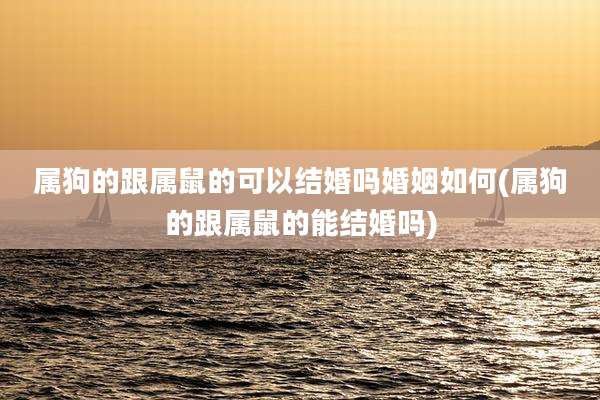属狗的跟属鼠的可以结婚吗婚姻如何(属狗的跟属鼠的能结婚吗)