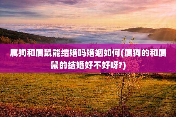 属狗和属鼠能结婚吗婚姻如何(属狗的和属鼠的结婚好不好呀?)