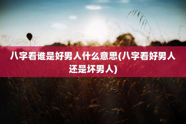 八字看谁是好男人什么意思(八字看好男人还是坏男人)