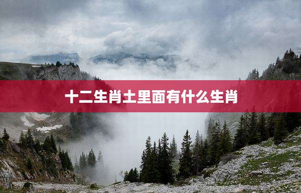 十二生肖土里面有什么生肖