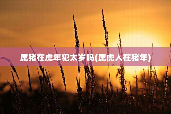 属猪在虎年犯太岁吗(属虎人在猪年)