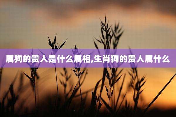 属狗的贵人是什么属相,生肖狗的贵人属什么