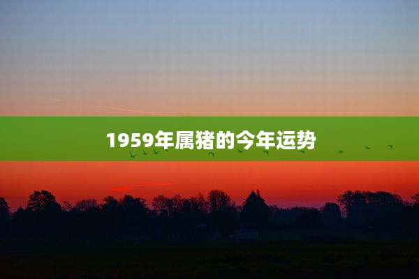 1959年属猪的今年运势