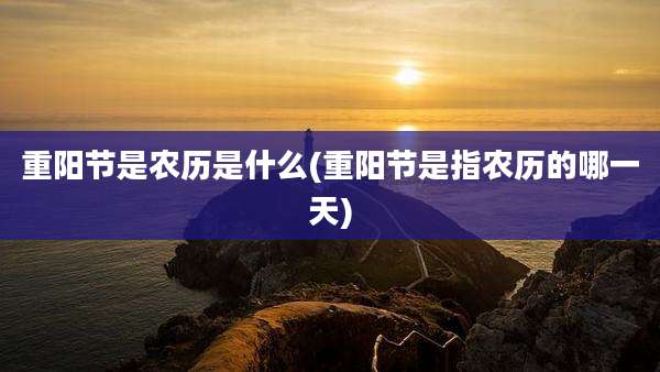重阳节是农历是什么(重阳节是指农历的哪一天)