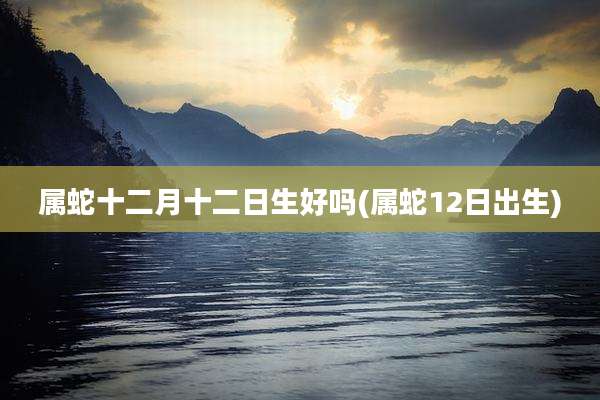 属蛇十二月十二日生好吗(属蛇12日出生)