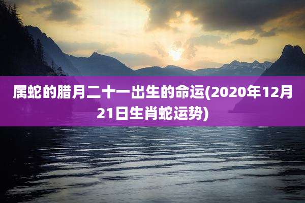 属蛇的腊月二十一出生的命运(2020年12月21日生肖蛇运势)